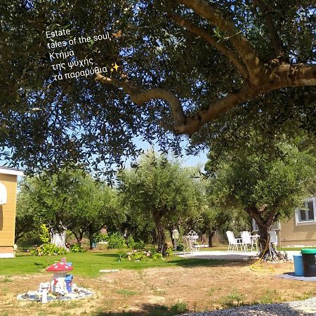Bungalows With Private Pools "Tales Of The Soul - Της Ψυχής Τα Παραμύθια" Anemochori Bagian luar foto