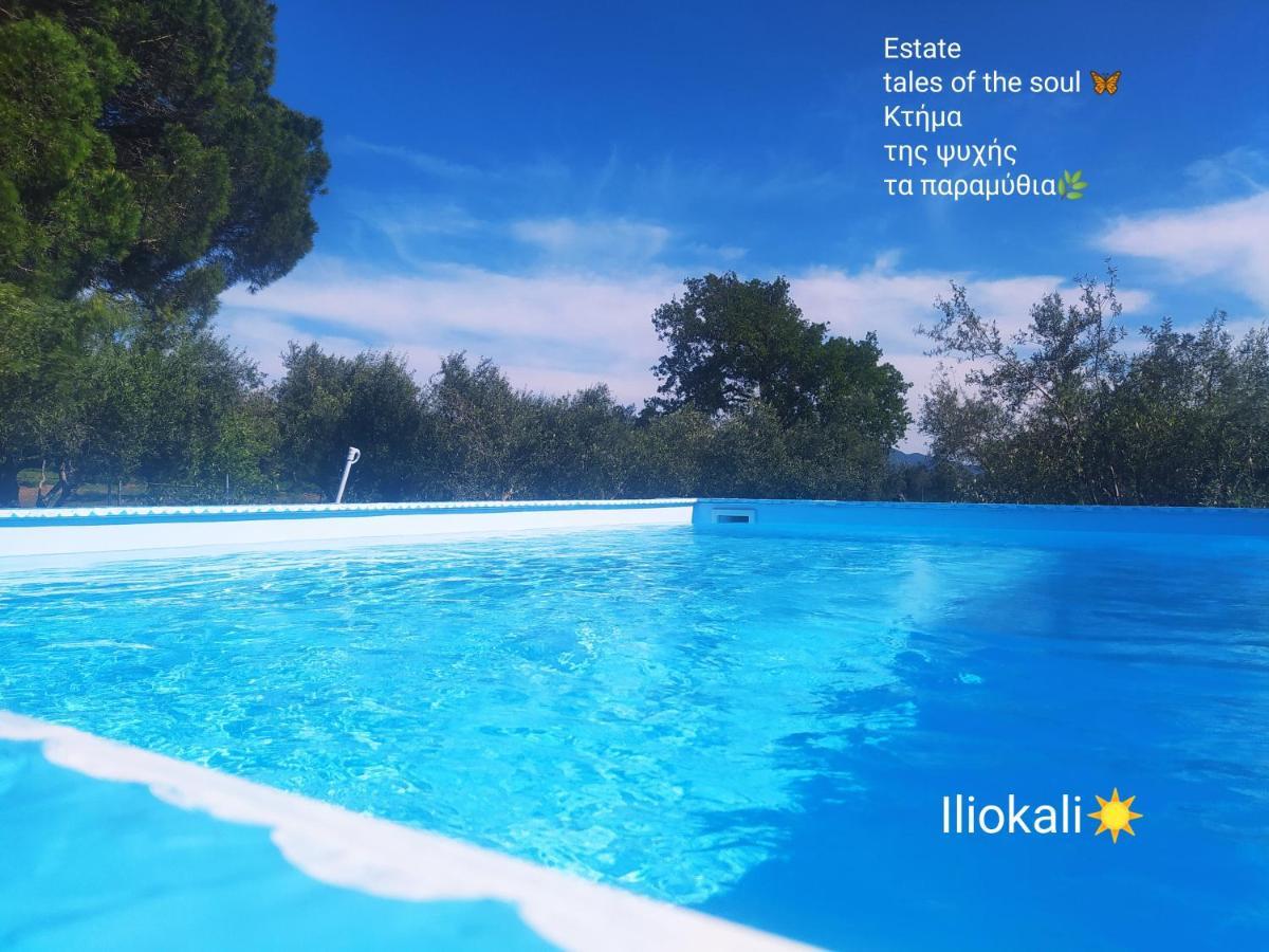 Bungalows With Private Pools "Tales Of The Soul - Της Ψυχής Τα Παραμύθια" Anemochori Bagian luar foto