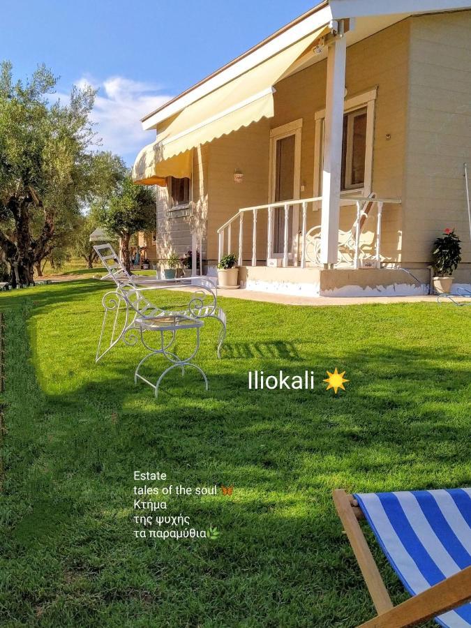 Bungalows With Private Pools "Tales Of The Soul - Της Ψυχής Τα Παραμύθια" Anemochori Bagian luar foto